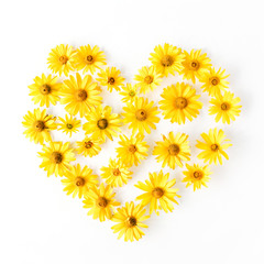 Heart symbol made of bright yellow daisy on white background. Flat lay, top view