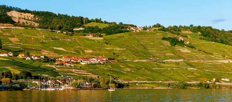 Lavaux vineyards on Lake Geneva, Switzerland