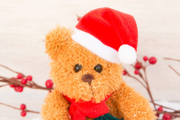 Cute teddy bear with Christmas hat