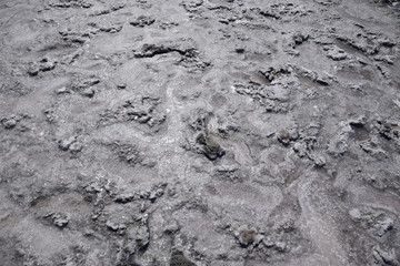 The crust of salt on the bottom  the curative mud dry lake