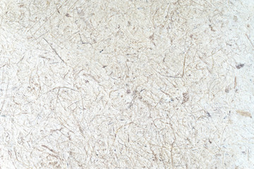 Mulberry paper texture background / Closed up green mulberry paper with wood pulp background / on mulberry paper texture for background or backdrop.