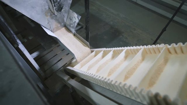 oatmeal cereal is packaged in bags at the factory.