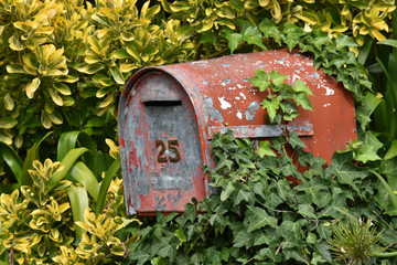 Old metal mailbox with red paint peeling off among greenery.