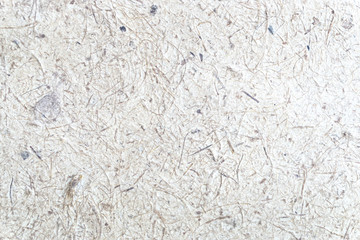 Mulberry paper texture background / Closed up green mulberry paper with wood pulp background / on mulberry paper texture for background or backdrop.