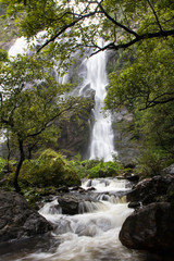 Obraz premium Waterfall near trees.
