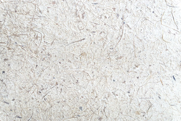 Mulberry paper texture background / Closed up green mulberry paper with wood pulp background / on mulberry paper texture for background or backdrop.