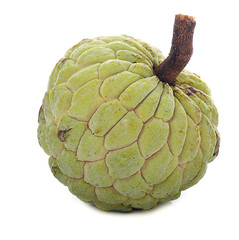 Obraz premium custard apple