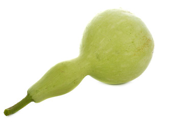Calabash