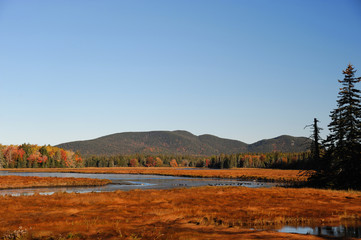 Fototapeta na wymiar river and marsh with red grass in front of autumn mountain forest