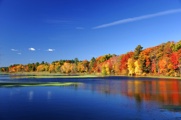 Arbres colorés d& 39 automne sous la lumière du soleil du matin se reflétant dans la rivière tranquille
