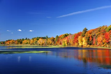 Photo sur Plexiglas Automne Arbres colorés d& 39 automne sous la lumière du soleil du matin se reflétant dans la rivière tranquille