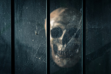 blurred human skull behind the grille of jail be filled with cobweb ( selected focus at cobweb ) for halloween background