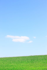 草原と青空