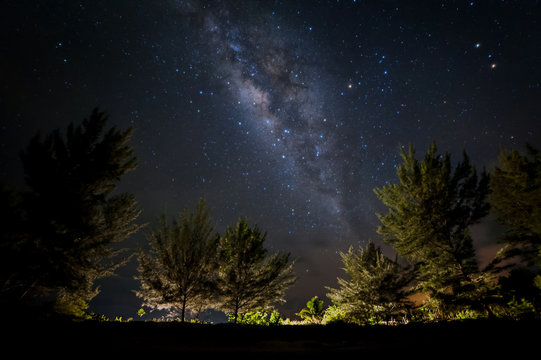 Milky way Galaxy rise above trees. Image may contain soft focus, blur and noise due to High Iso, wide Aperture and Long exposure.