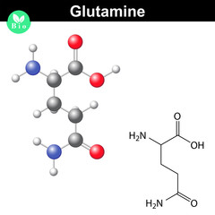Glutamine proteinogenic amino acid