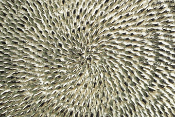 Antuque woven sliver texture