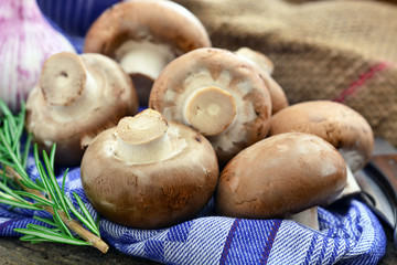 Champignons - Pilze auf Küchentuch / Nahaufnahme / Foodstyling 