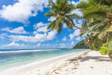 plage des Seychelles, anse Fourmis, île de la Digue 