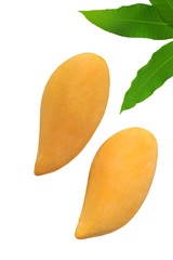 Delicious ripe mango with green leaf on white background.