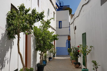 Rue d'Assilah avec plantes vertes.