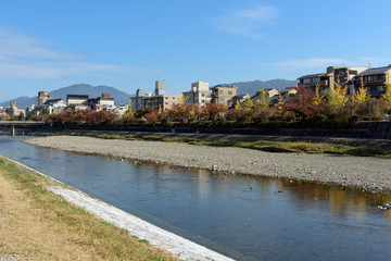 Fototapeta na wymiar View of Kamo River at the center of Kyoto on a sunny autumn day.