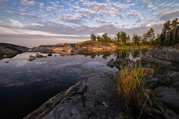 A bush of grass lighten by the evening sun is growing on granite rocks. In the background clouds reflected in smooth water surface of a small bay, Ladoga, Karelia