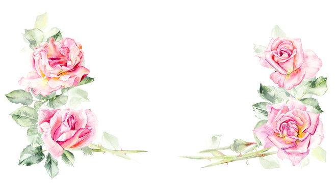 Frame from roses. Wedding drawings. Greeting cards. Flower backdrop. Decoration with blooming roses. Place for your text. Watercolor hand drawn illustration