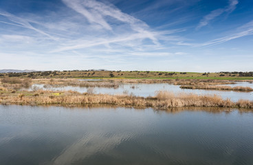 Wetlands associated with de River Guadiana, next to the Vicario Reservoir, in Ciudad Real Province, Spain