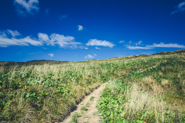 Mountain landscape. Bieszczady National Park in Poland.