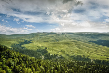 Mountain landscape with fog and forest