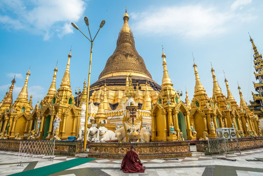 Buddhist monk sitting and meditation in front of Shwedagon pagoda an iconic landmark in downtown of Yangon, Myanmar.