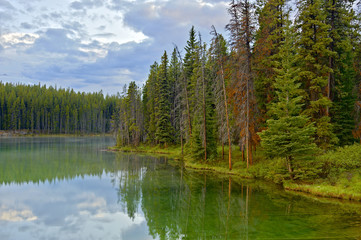 Obraz premium Herbert Lake, Banff National Park, Canada