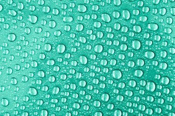 water drops on green texture background