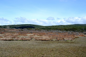 Tierra Del Fuego