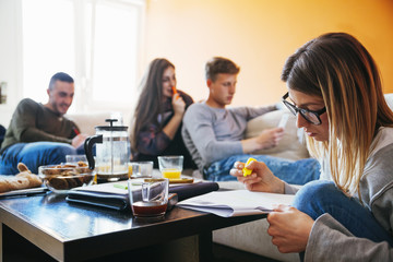 Fototapeta premium Students Studying
