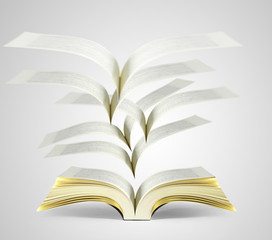 The book of fantasy stories