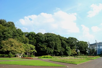 Fototapeta na wymiar 川口グリーンセンターの景観