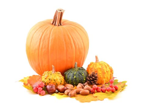 Thanksgiving deco on white. Thanksgiving natural autumn decoration arranged with dry leaves.