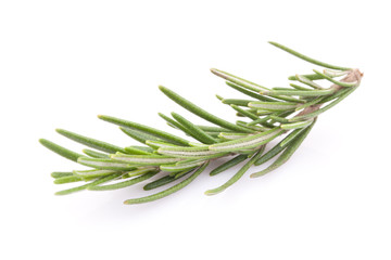 Fototapeta premium rosemary isolated on white background