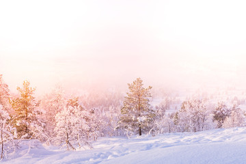 Snow Landscape - Stryn (Norway)