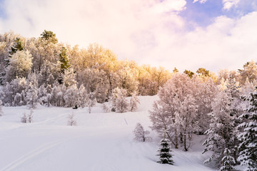Fototapeta premium Snow landscape - stryn (norway)