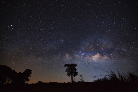 milky way and silhouette of tree. Long exposure photograph.with