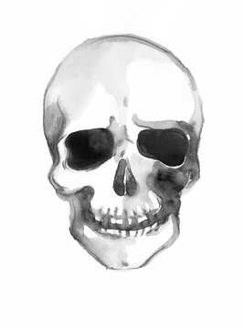 skull .watercolor illustration