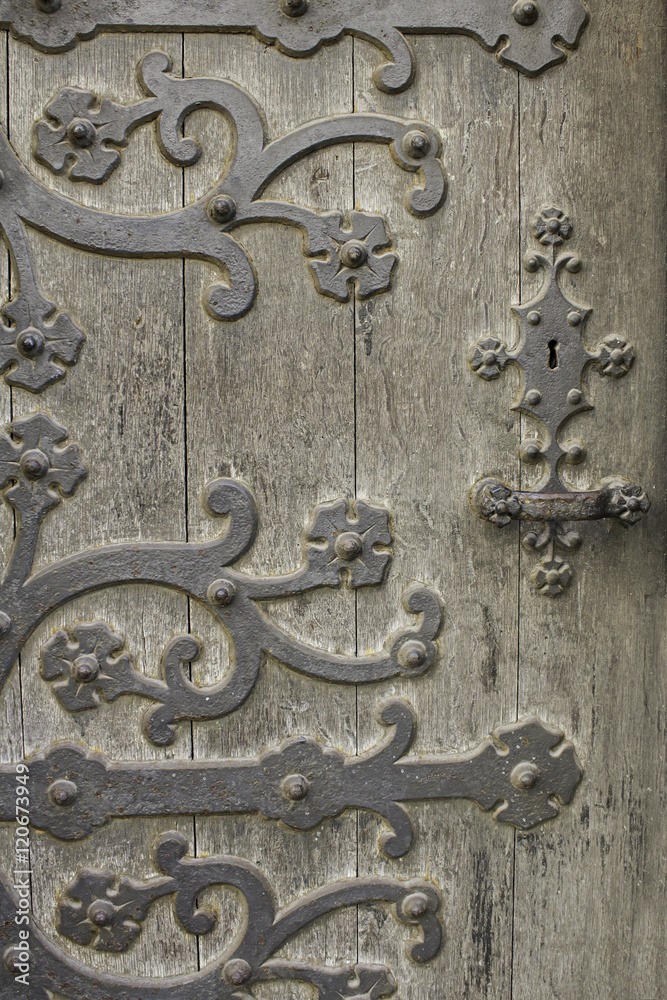 Wall mural old iron door