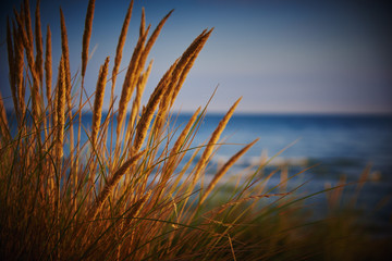 Dune de Cabourg