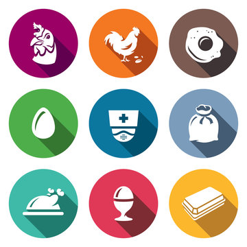 Vector Set of Chicken Icons. Hen, Rooster, Scrambled, Egg, Veterinarian, Sack, Dish, Boiled, Pack.