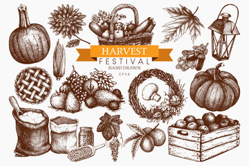 Vector set of hand drawn autumn illustration. Traditional harvest festival design elements. Vintage fall sketch collection on white background. Outlines