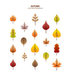 Vector fall leaves tree background