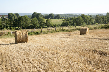 Fototapeta premium Pace Alencon France - August 2016 - Bales of straw on a small farm in the French countryside