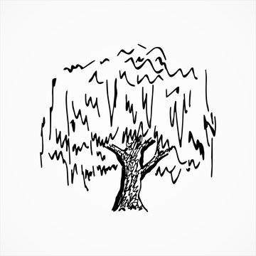  Black tree sketch.  Vector illustration. Hand drawn.